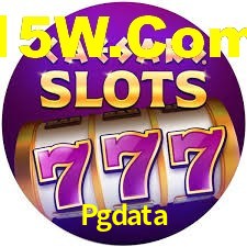 Explore as vantagens do Pgdata: serviço profissional e confiabilidade